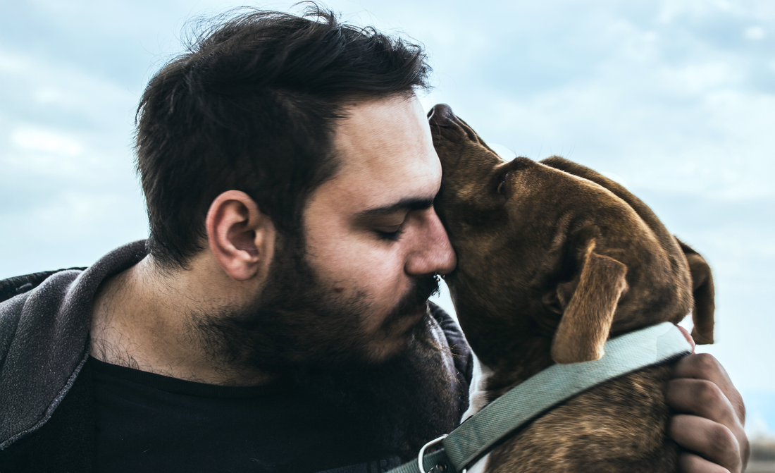 Supporting Veteran Pet Owners and Their Beloved Companions