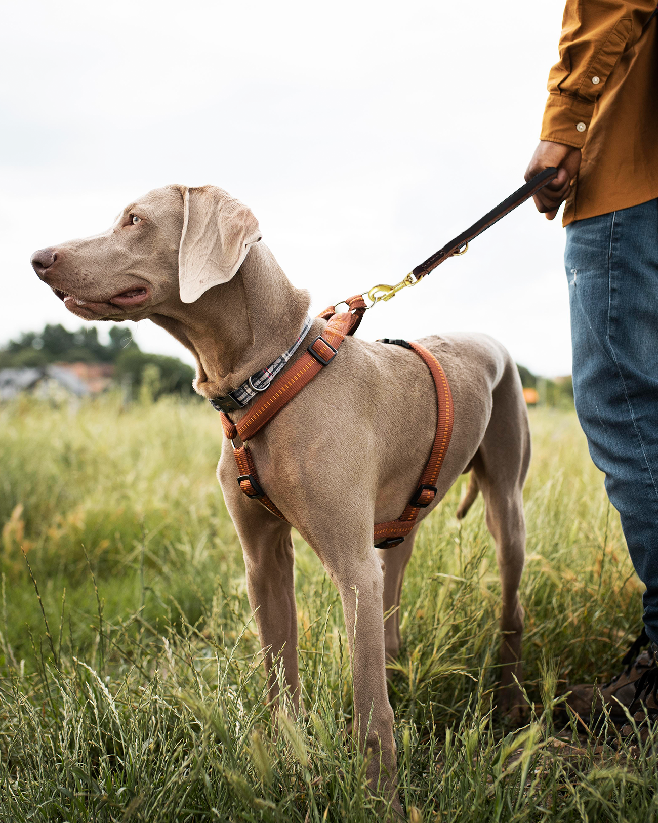 Multi Function Leather Dog Leash